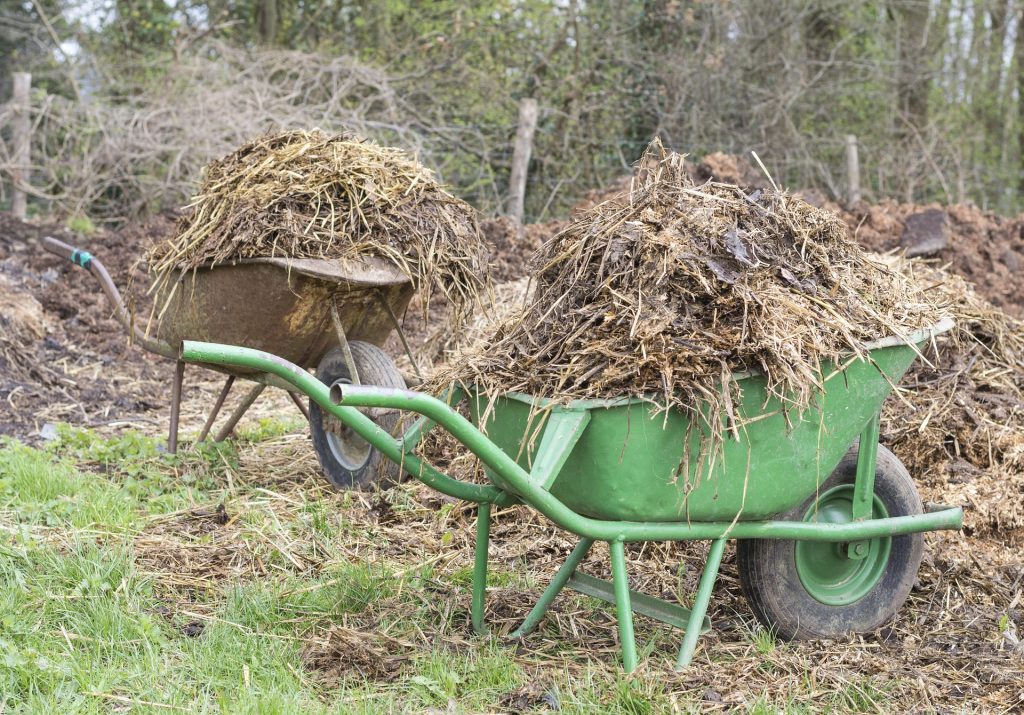 Zero‑Waste Garden Clear‑Out: Flat‑Friendly Tips for Spring